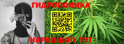 ГАЛЛЮЦИНОГЕННЫЕ ГРИБЫ Кунгур